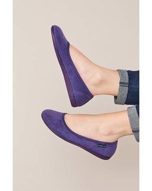 Moshulu 'Banoffee 2' Ballerina Slippers - Purple