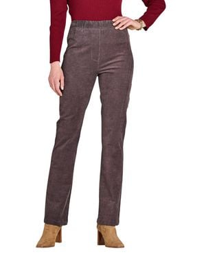 Chums Pull On Corduroy Trouser - Purple