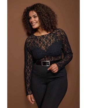 WOVCOR Sheer Lace Long Sleeve Fitted Top - Blue