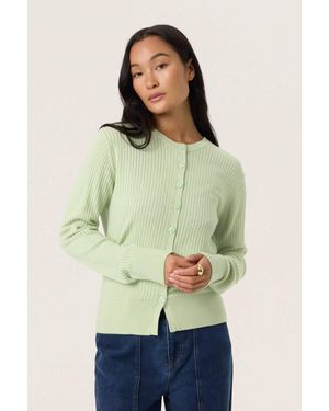 Soaked In Luxury Soaked - Green