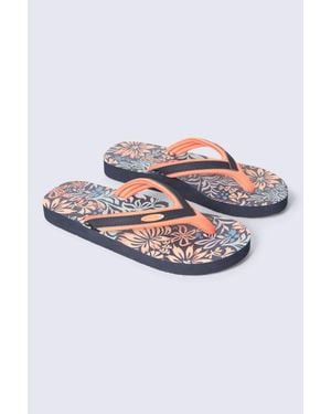 Animal Swish Lightweight Flip Flop - Grey