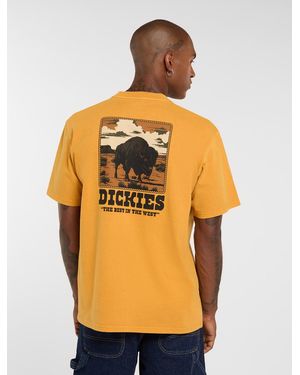 Dickies Darrtown Midweight T-Shirt - Orange