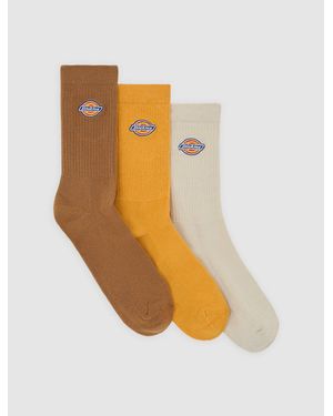 Dickies Valley Grove Socks - White