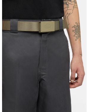 Dickies Deer Lodge Belt - Grey