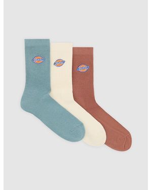 Dickies Valley Grove Socks - White