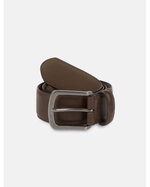 Dickies Atlanta Belt - Brown