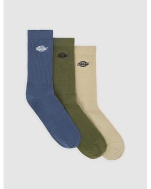 Dickies Summerdale Three-Pack Socks - Blue