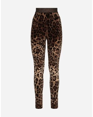 Dolce & Gabbana Leggings - Brown