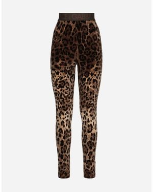 Dolce & Gabbana レギンス シェニール レオパードジャカード - ブラウン