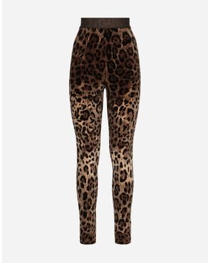Dolce & Gabbana Leggings - Brown