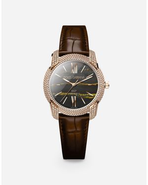 Dolce & Gabbana Dg7 Watch - Brown