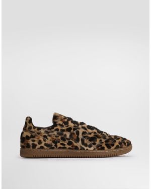 Dolce & Gabbana X Diadora Pony Leo Trainers - Brown
