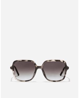 Dolce & Gabbana Dg Everyday Sunglasses - Grey
