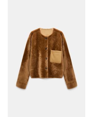 Dorothee Schumacher Reversible Lamb Fur Jacket - Brown