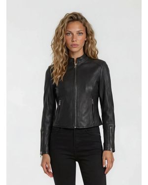 trueprodigy Trueprodigy Bikerjacke Vega - Grau