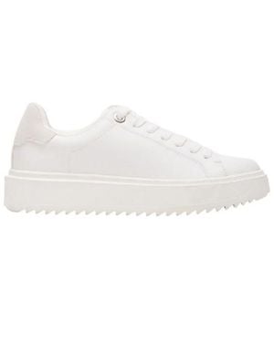 Steve Madden "Catcher 2.0" Sneaker Für Damen, Canvas - Weiß