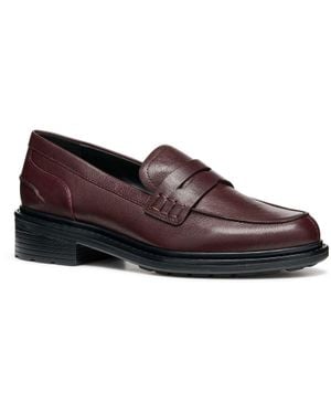 Geox D Walk Pleasure F Leder Damen Mokassins Schuhe - Braun