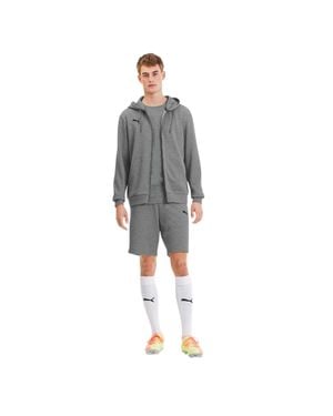 PUMA "Teamgoal 23 Casuals" Kapuzenjacke Für Herren - Grau