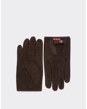 Ferrari Suede Leather Driving Gloves - Brown