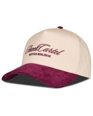 Street Cartel Script Gorras - Morado