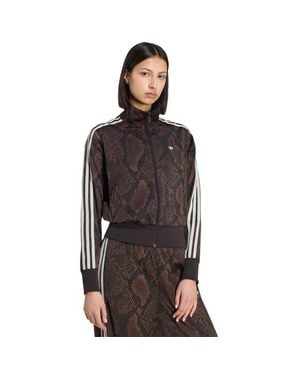 adidas Firebird Trainingspakken - Bruin