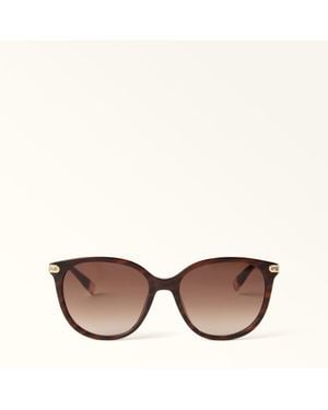 Furla Sunglasses Havana Acetate - Brown