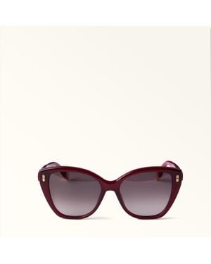 Furla Sunglasses Ciliegia D Acetate - Purple