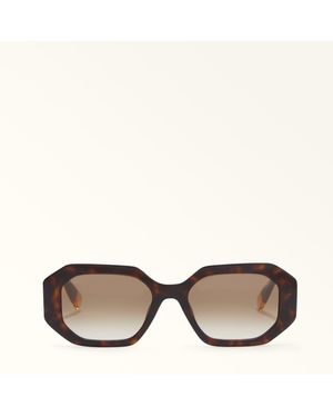 Furla Lunettes De Soleil Dark Havana Acetate Colorblock Femme - Marron