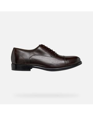 Geox Barberigo - Brown