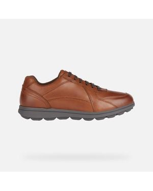 Geox Scarpe Spherica Ec12 Uomo - Marrone