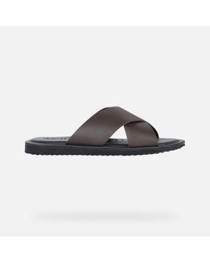 Geox Erice - Brown