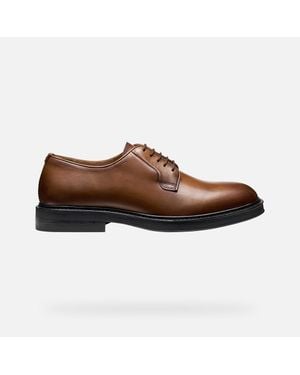 Geox Scarpe Capitale Uomo - Marrone
