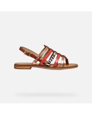 Geox Maddalusia C - Brown