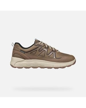 Geox Spherica 4X4 Abx - Brown