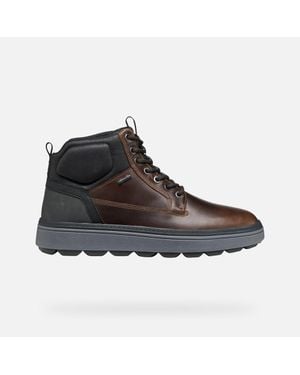 Geox Spherica Ecub-1.1 Abx - Brown