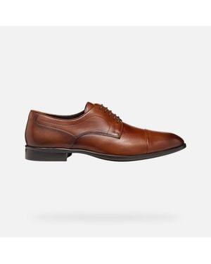 Geox Thalos - Brown