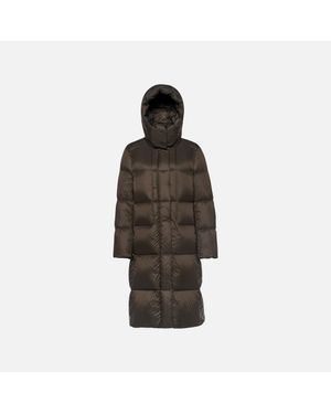 Geox Arlara - Brown