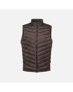 Geox Wilmer - Brown