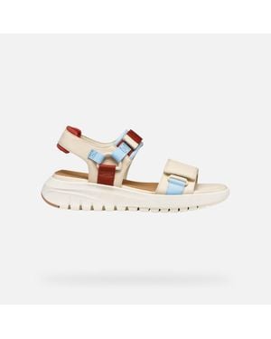 Geox Flextride S - Multicolour
