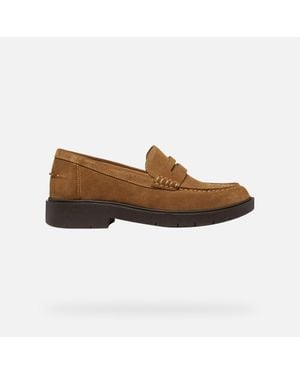 Geox Spherica Ec1 B - Brown