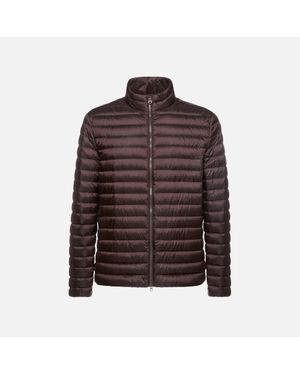 Geox Abbigliamento Warrens Uomo - Marrone
