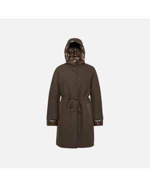 Geox Kleopy - Brown