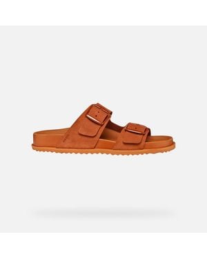 Geox Sandybett - Brown