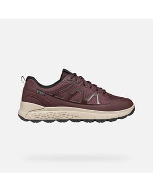 Geox Spherica 4X4 Abx - Brown