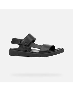 Geox Xand 2S - Black