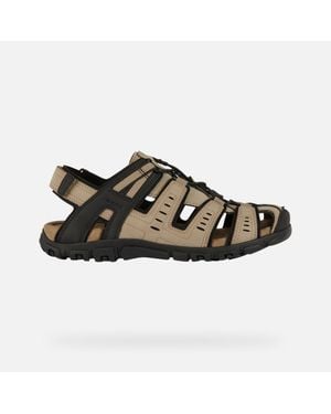 Geox Strada - Brown