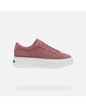 Geox Gxcp-03 - Purple