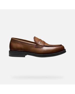 Geox Medos - Brown