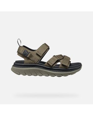 Geox Spherica Actif X S - Brown