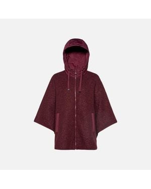 Geox Sweater Tawny Port/Tawny Port - Red